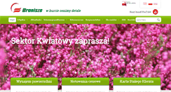 Desktop Screenshot of bronisze.com.pl